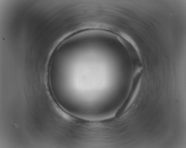 X0000083551136200702091051