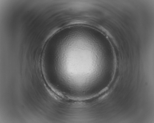 X0000083551137200702091052