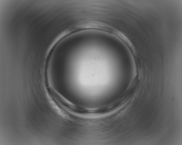 X0000083551138200702091052