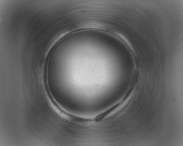 X0000083551139200702091052