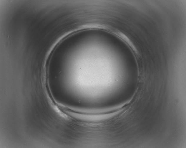 X0000083551140200702091052