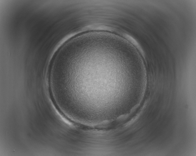 X0000083551141200702091052