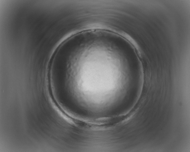 X0000083551142200702091052