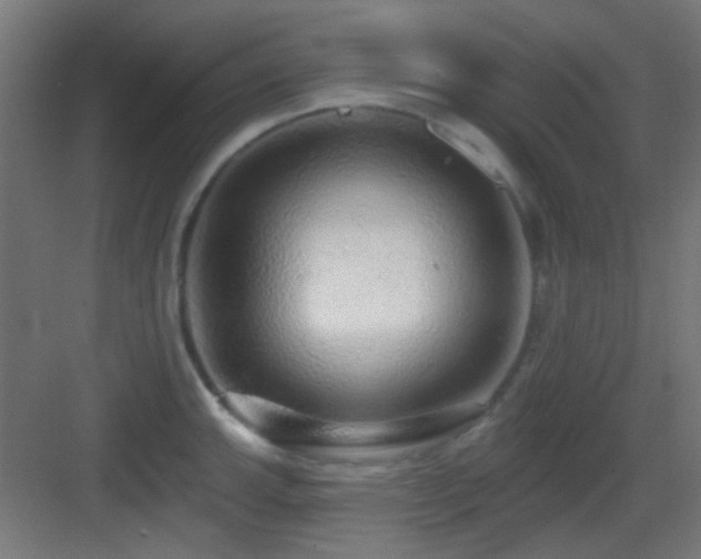 X0000083551143200702091052