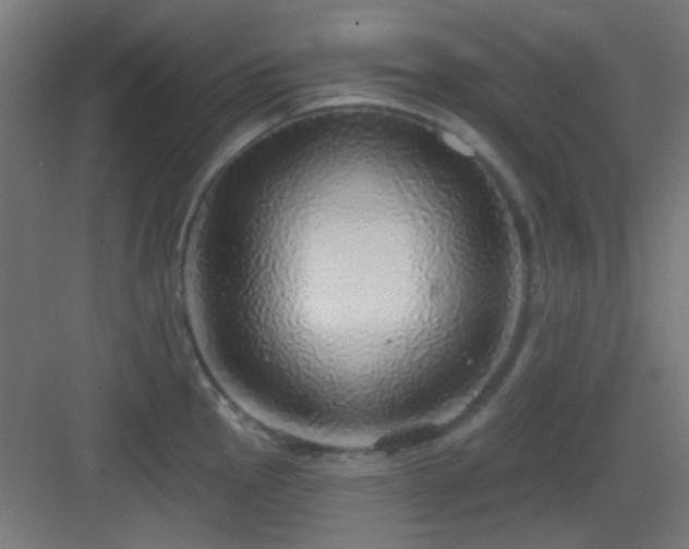 X0000083551145200702091052