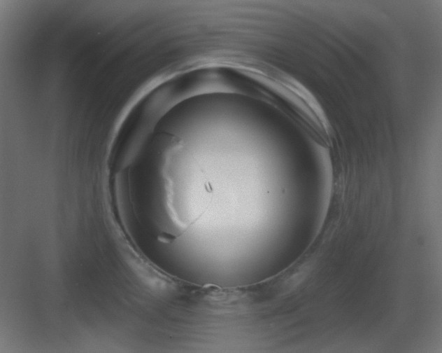 X0000083551146200702091052