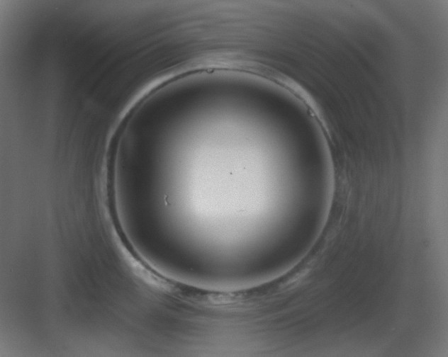 X0000083551147200702091052