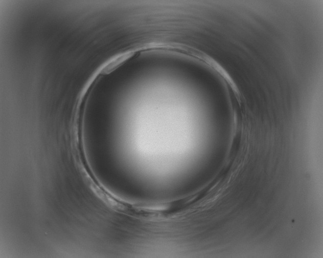 X0000083551148200702091052