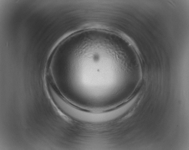 X0000083551149200702091052