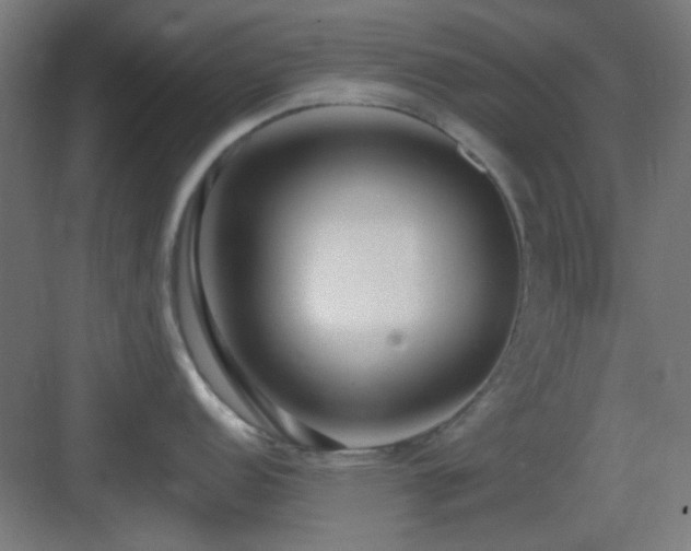 X0000083551152200702091052