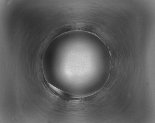 X0000083551153200702091051