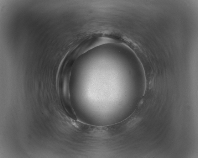 X0000083551156200702091051