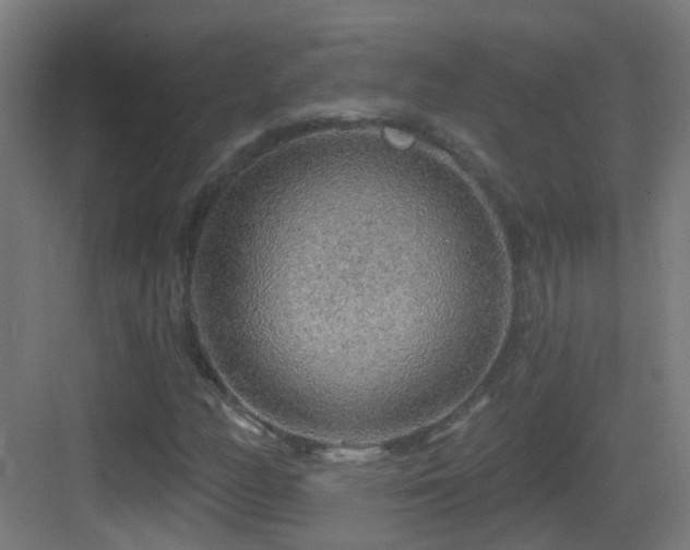 X0000083551158200702091051