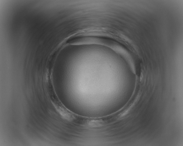 X0000083551161200702091051