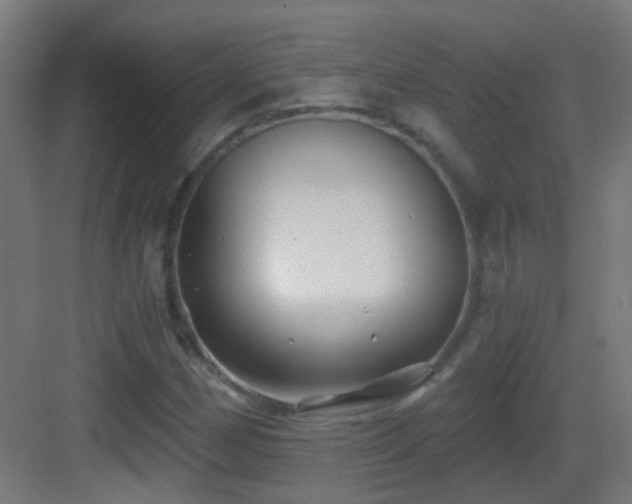 X0000083551162200702091051