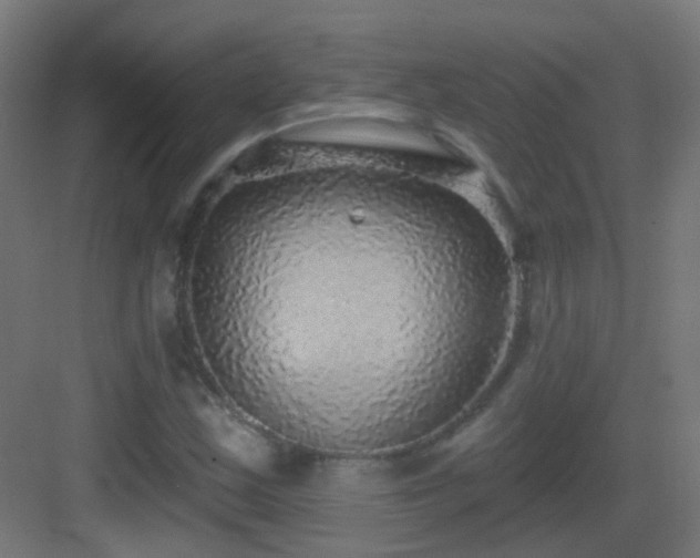 X0000083551163200702091051