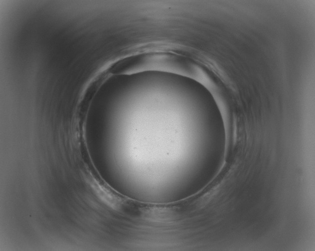 X0000083551164200702091051