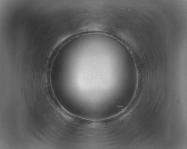 X0000083551166200702091051