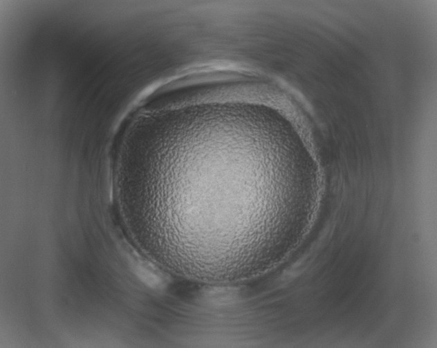 X0000083551171200702091051