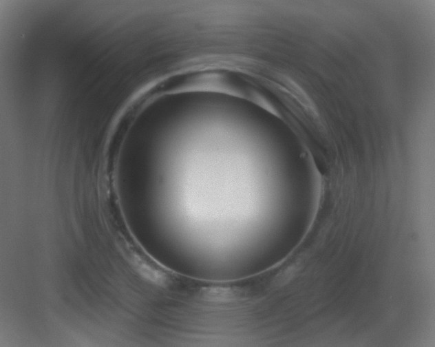 X0000083551172200702091051
