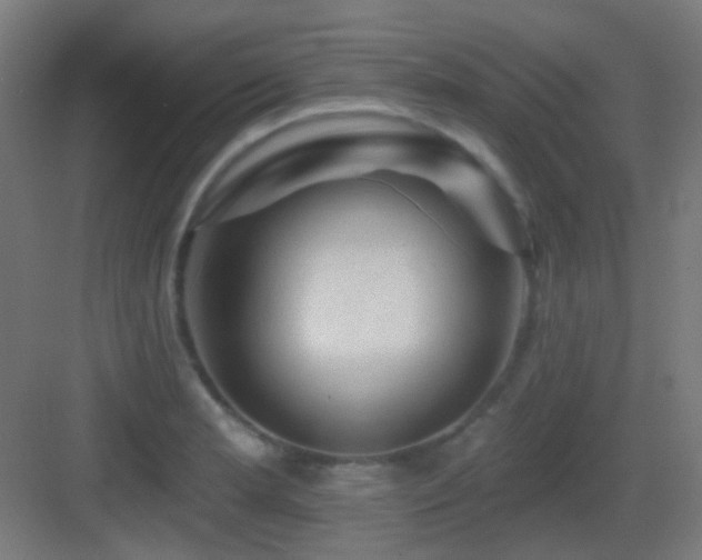 X0000083551181200702091050