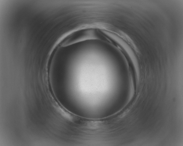 X0000083551184200702091050