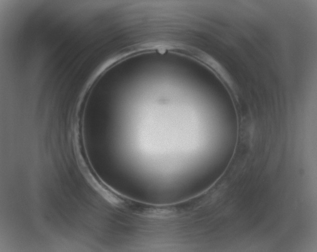X0000083551187200702091050