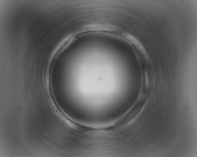 X0000083551188200702091050