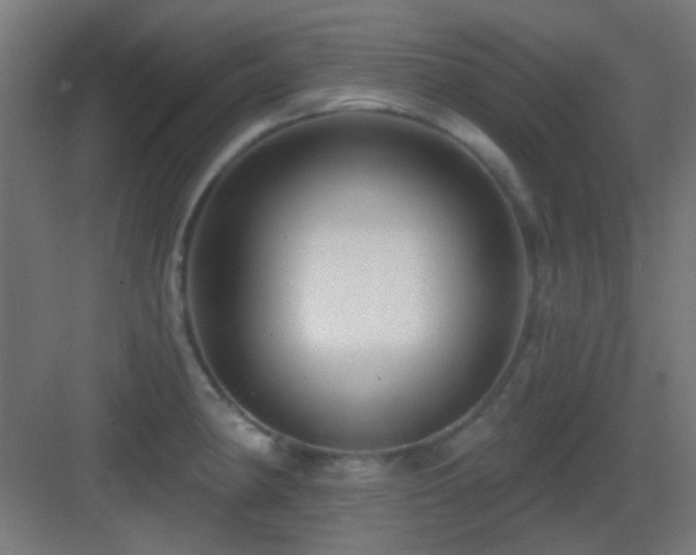 X0000083551190200702091050