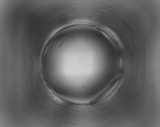 X0000083551192200702091050
