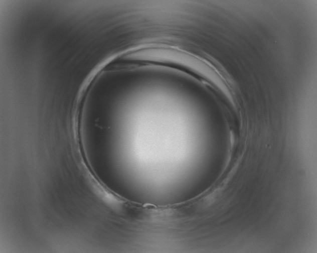 X0000083551196200702091050