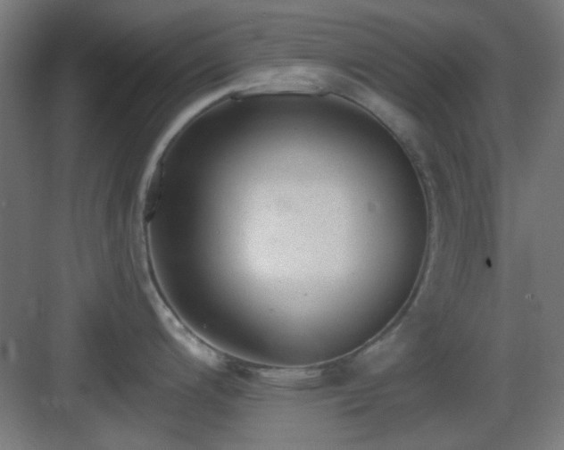 X0000083551200200702091050