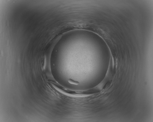X0000083551202200702091049