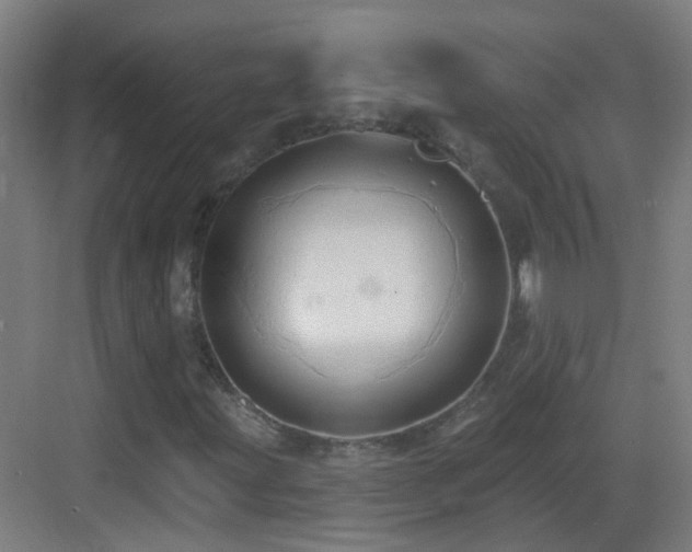 X0000083551203200702091049