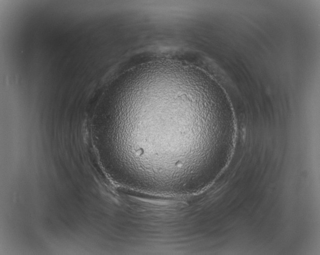 X0000083551204200702091049