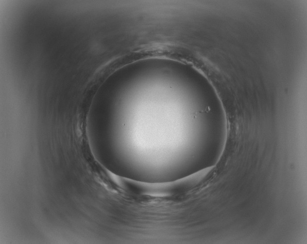 X0000083551206200702091049