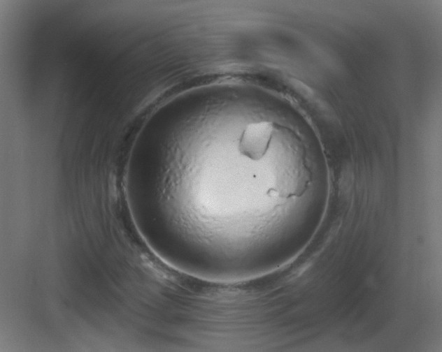 X0000083551209200702091049