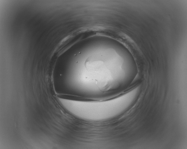 X0000083551210200702091050