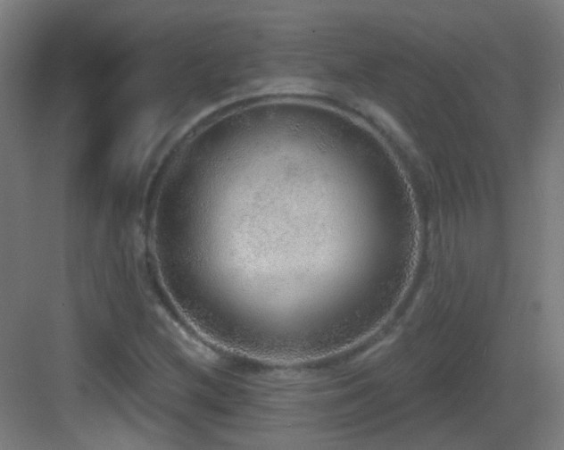 X0000083551212200702091050