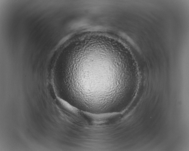 X0000083551213200702091050