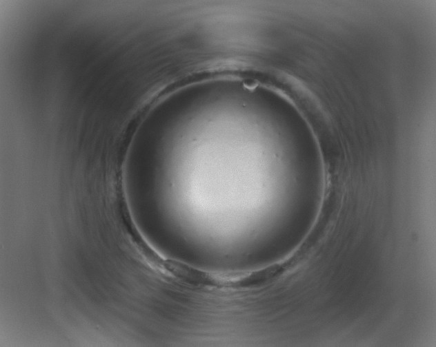 X0000083551217200702091050