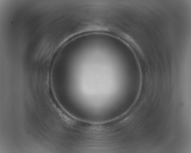 X0000083551220200702091050