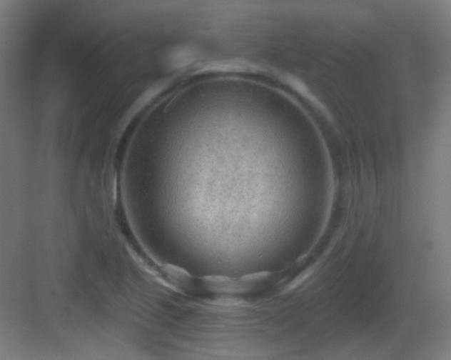 X0000083551221200702091050
