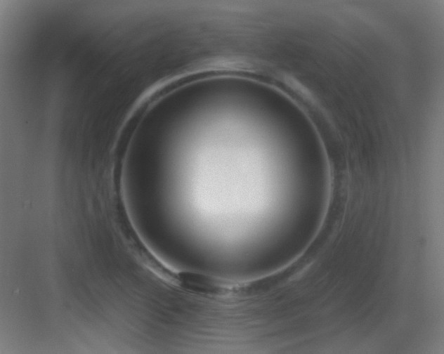 X0000083551222200702091050