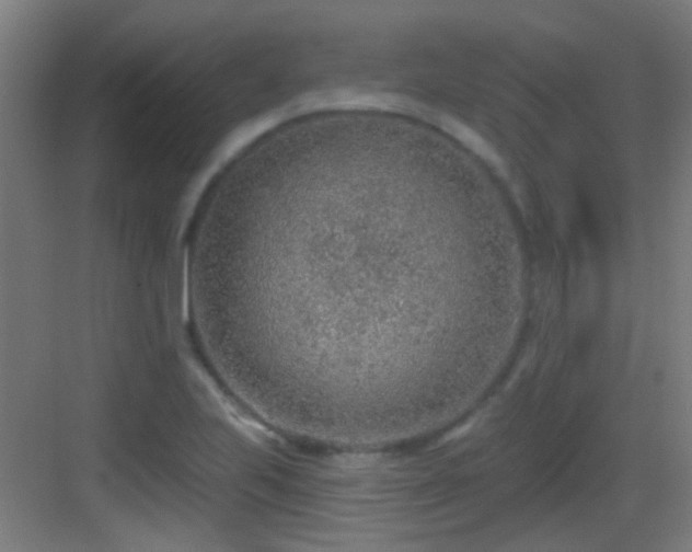 X0000083551223200702091050