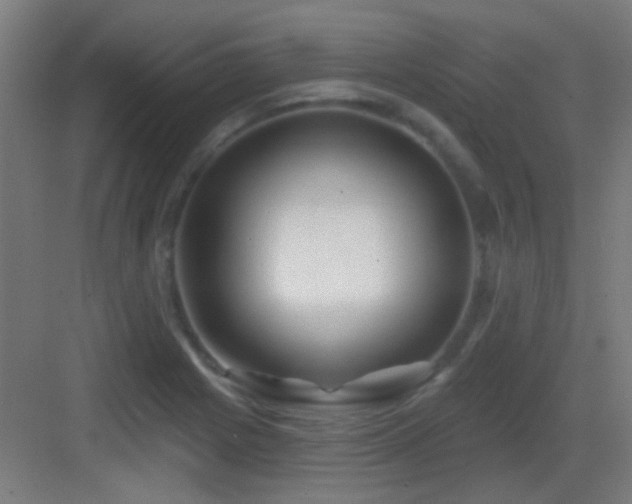 X0000083551225200702091050