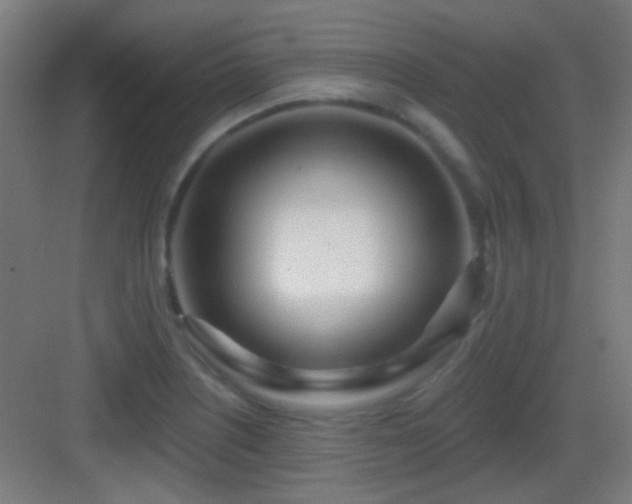 X0000083551226200702091050