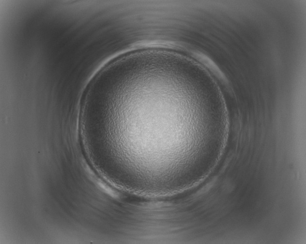 X0000083551228200702091050