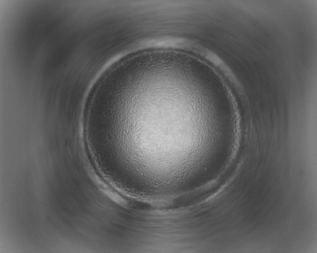 X0000083551232200702091050