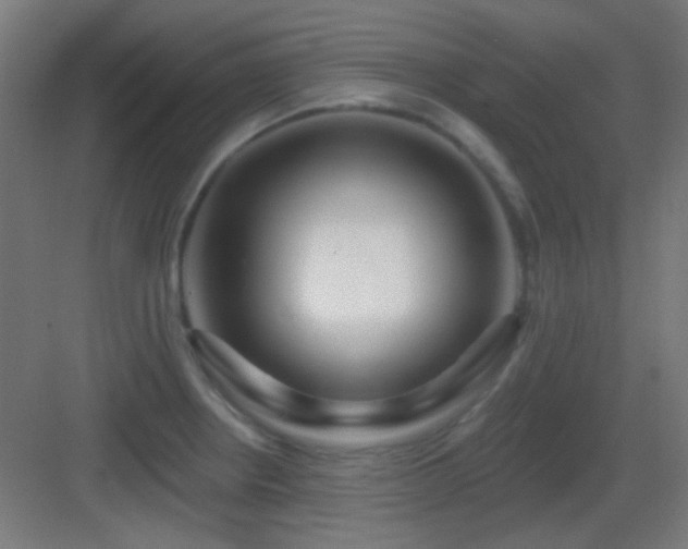 X0000083551234200702091050